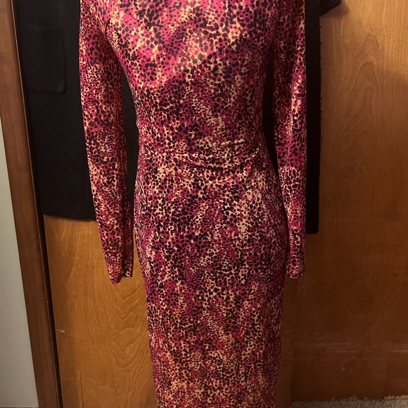 Beautiful Fitted Dress - Picture 2 of 5